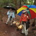 Mushroom Hunting in the Rain